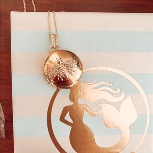 Spartina locket